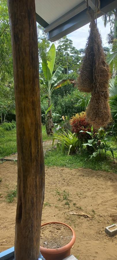 Casa Katharina Villa Cahuita Eksteriør billede